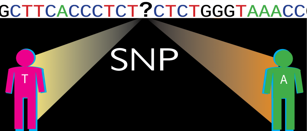 snp