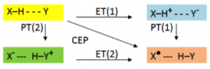 Source: http://chembites.org/2011/05/12/proton-coupled-electron-transfer-from-tryptophan-a-concerted-mechanism-with-water-as-proton-acceptor/