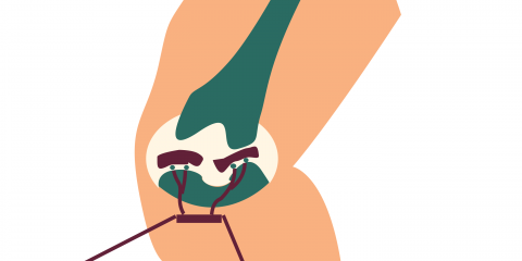 knee