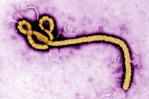 Russell - Ebola_virus