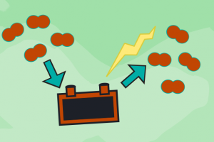 mcintosh - feature