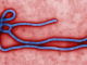 Russell - Ebola and Gov.