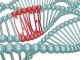 Huang_Immuno-oncology