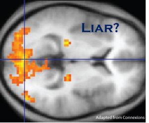 LieDetection_fMRI