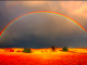 Metzger-rainbow