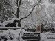 https://www.flickr.com/photos/johnmyleswhite/4347306296/in/photolist-7Ca4bj-7Ca1R9-7Ca3Xq-7Ca4mW-7C6ctR-7Ca5bJ-7Ca2r7-7C6bXB-aNEpoi-aE4Fv2-aE4Fkx-7C6bDa-7Ca5GQ-7C6dbX-7C6cX8-7Ca4Ym-7C6ePK-7C6dPe-7Ca4MU-7C6dzt-7C6e2B/