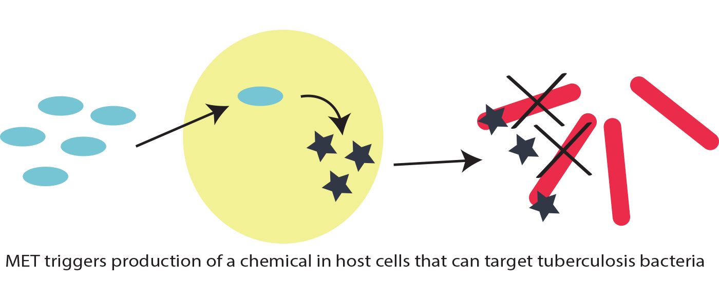 germ-thing