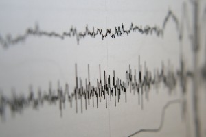 Metzger - Polygraph