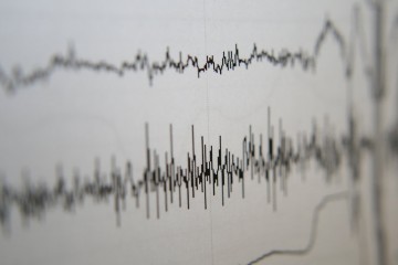 Metzger - Polygraph