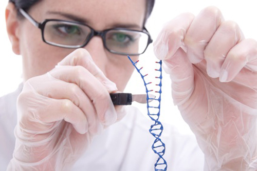 Song Gene Editing