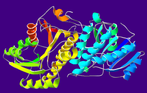 Image from Wikimedia Creative Commons: "AlcoholDehydrogenase-1A4U" by Jag123 at English Wikipedia - Transferred from en.wikipedia to Commons.. Licensed under Public Domain via Commons - https://commons.wikimedia.org/wiki/File:AlcoholDehydrogenase-1A4U.png#/media/File:AlcoholDehydrogenase-1A4U.png