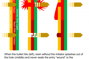 Graphic by Bennett McIntosh