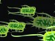 ecoli