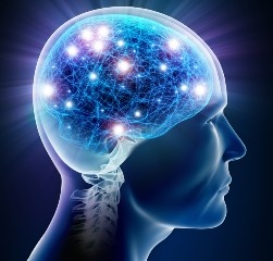 Shiyi Neural Plasticity