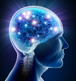 Shiyi Neural Plasticity