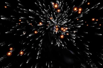 X_boson