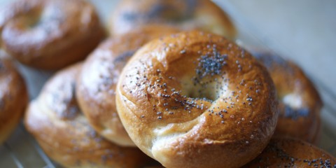 Bagels