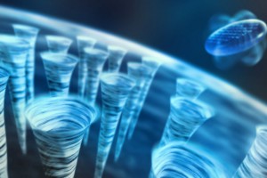 quantum vortices