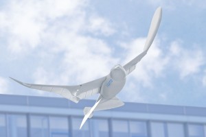 6874-smartbird-2140x940px