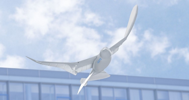 6874-smartbird-2140x940px